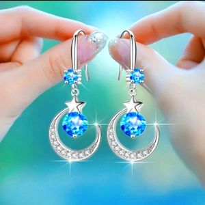 New Starry Night & Moon Earrings